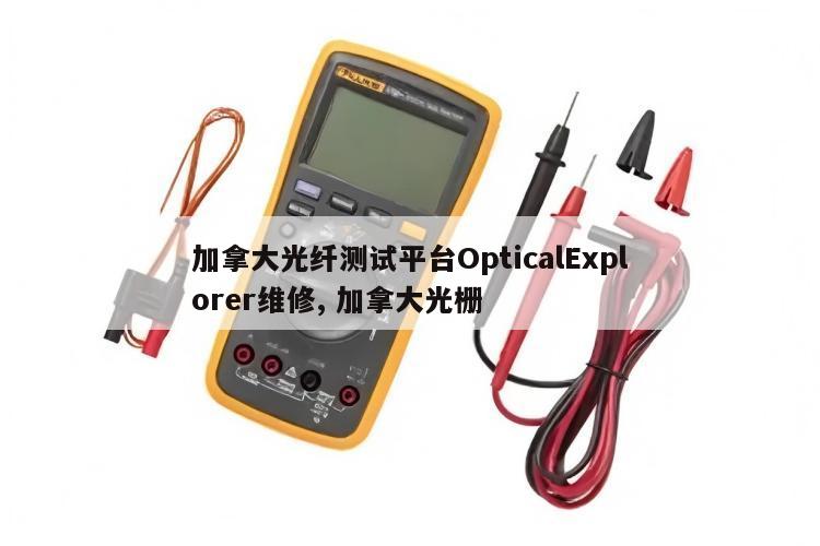 加拿大光纤测试平台OpticalExplorer维修, 加拿大光栅 