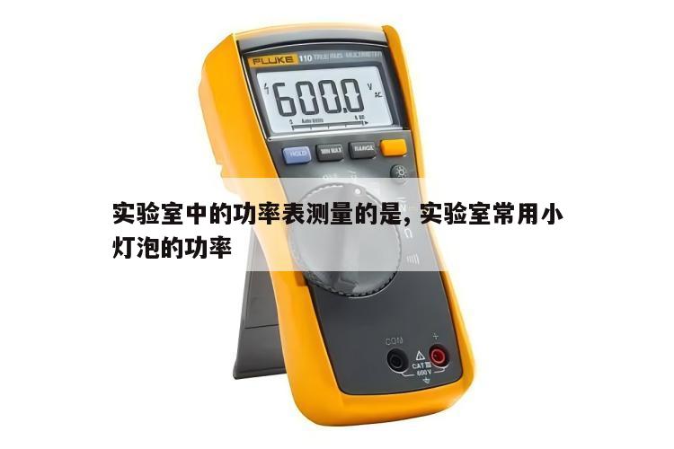 实验室中的功率表测量的是, 实验室常用小灯泡的功率 