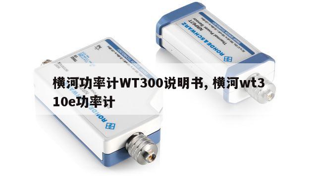 横河功率计WT300说明书, 横河wt310e功率计 